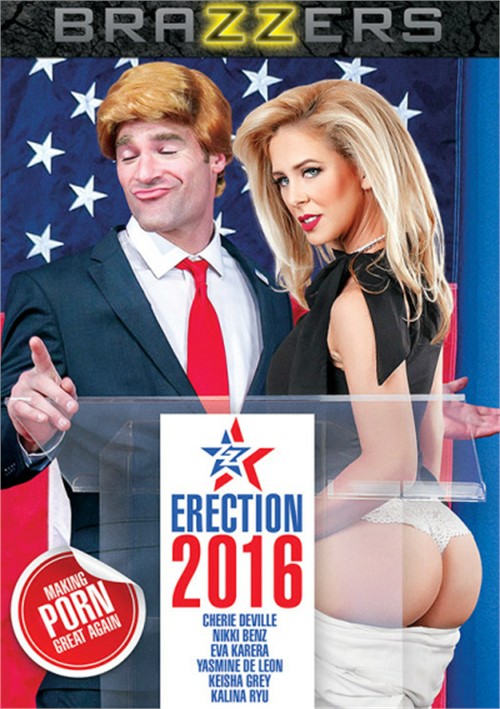 ZZ Erection 2016 (2017)